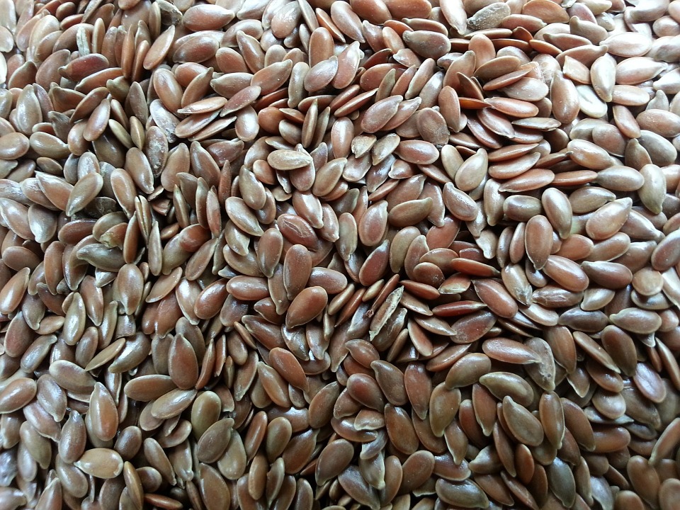 seeds